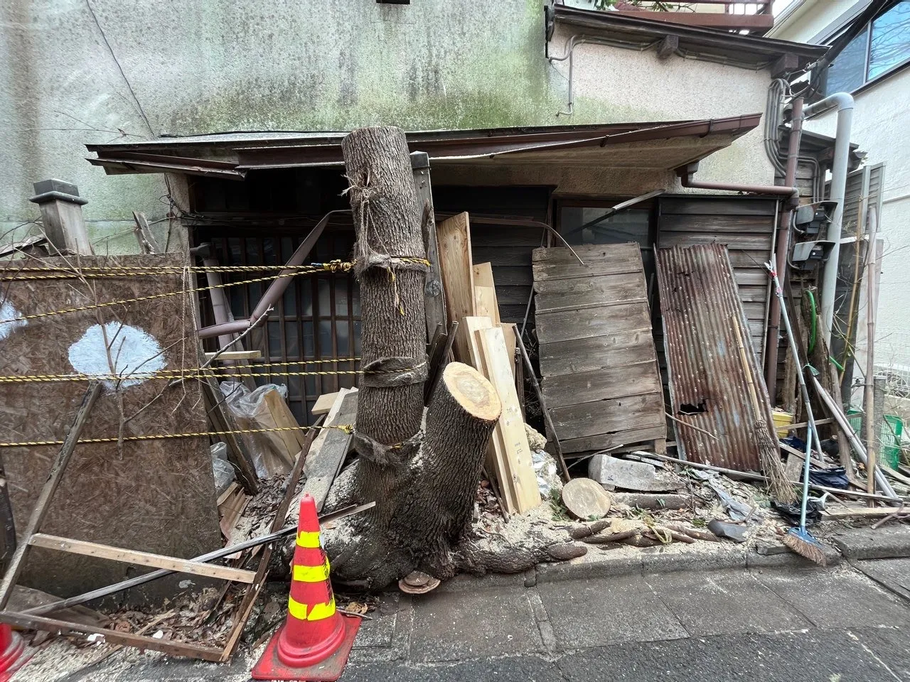 東京都世田谷区の個人邸で高木クスノキの特殊伐採工事を行いました！！