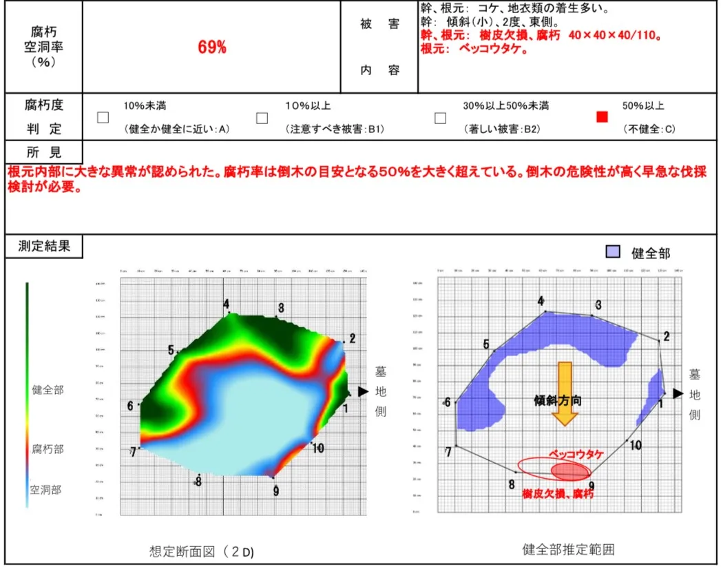 樹木内部の腐朽と倒木について　〜3D樹木精密診断〜