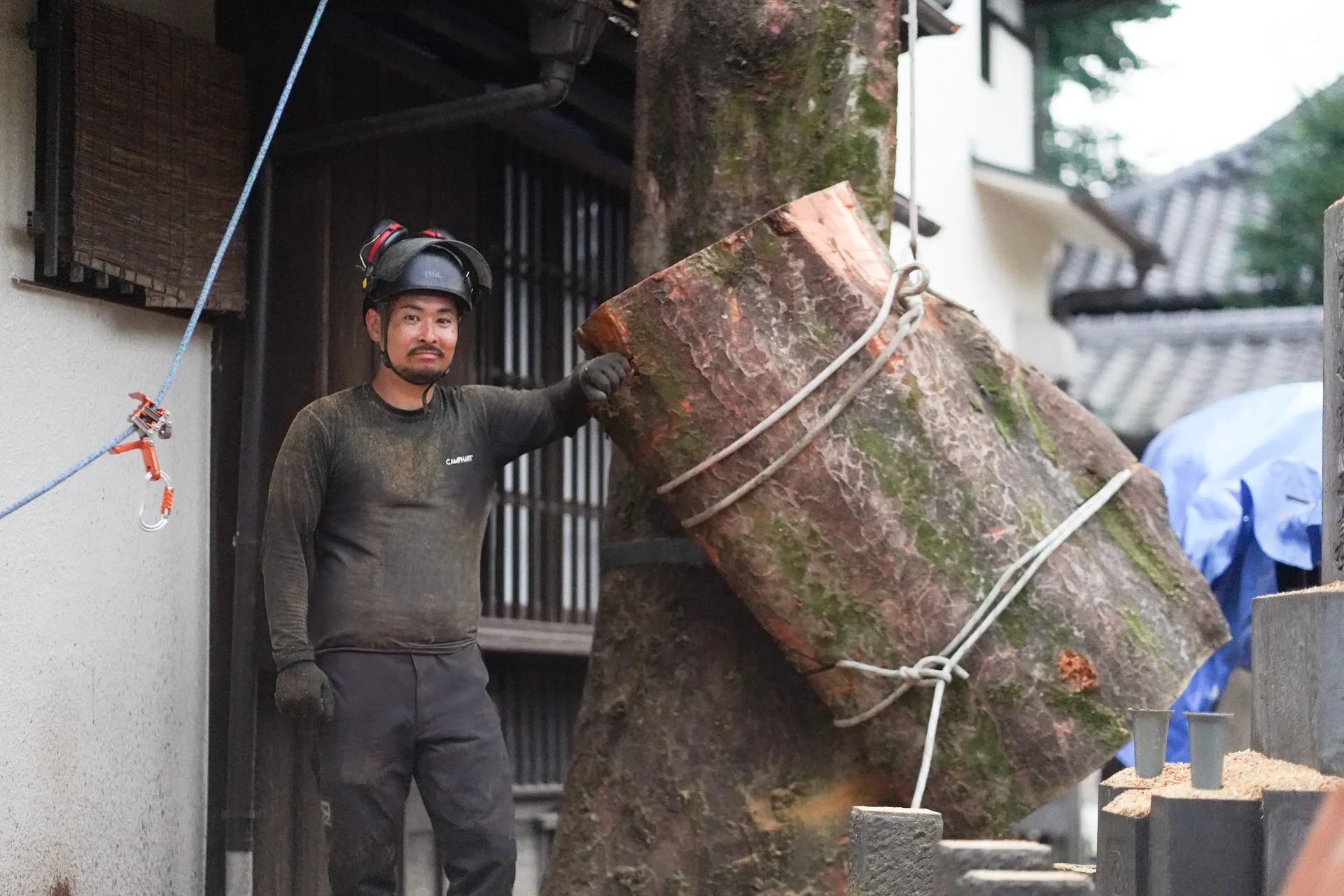 特殊伐採　縦割り工法について　〜２０ｍケヤキの特殊伐採〜