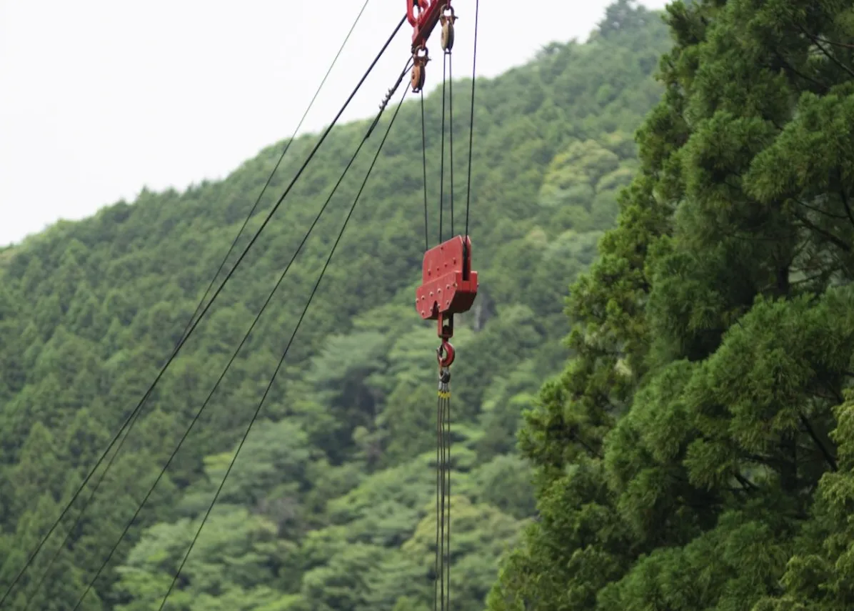 これで安心！伐採作業に使えるワイヤーの選び方と安全な使い方ガイド #伐採ワイヤー #伐採 #ワイヤー