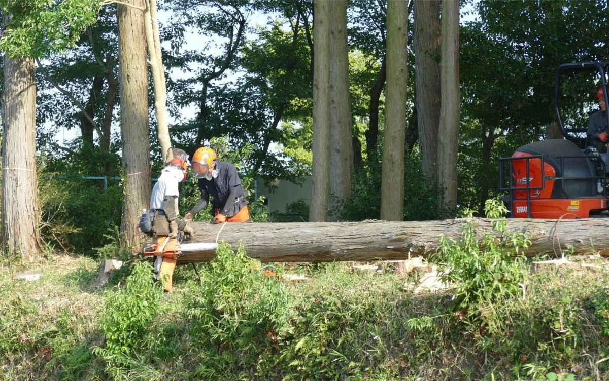 豊島区で伐採工事を依頼する前に知っておきたい重要ポイント #豊島区伐採工事 #豊島区 #伐採 #工事