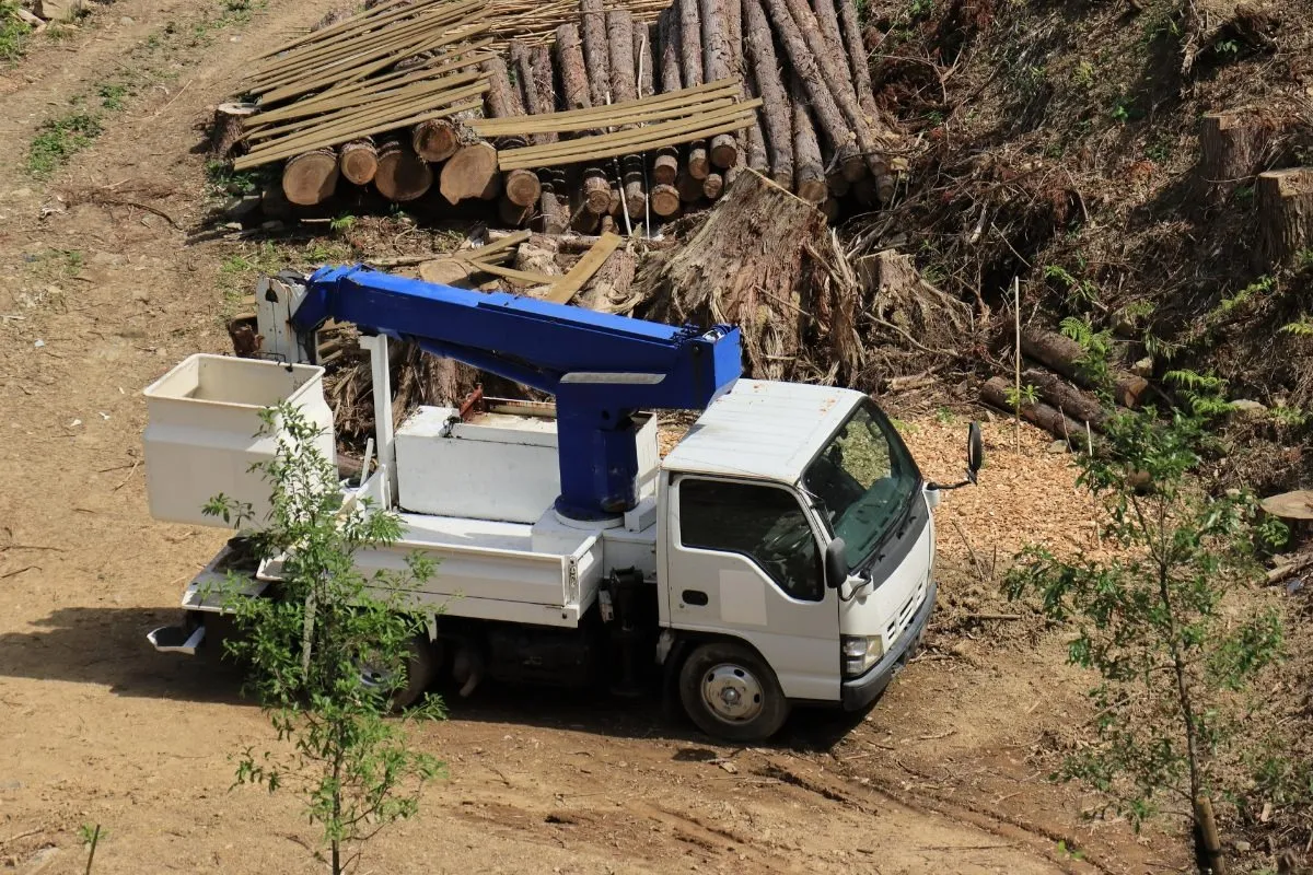 伐採で使う高所作業車の選び方と注意点！安全作業を実現するための重要なポイント！