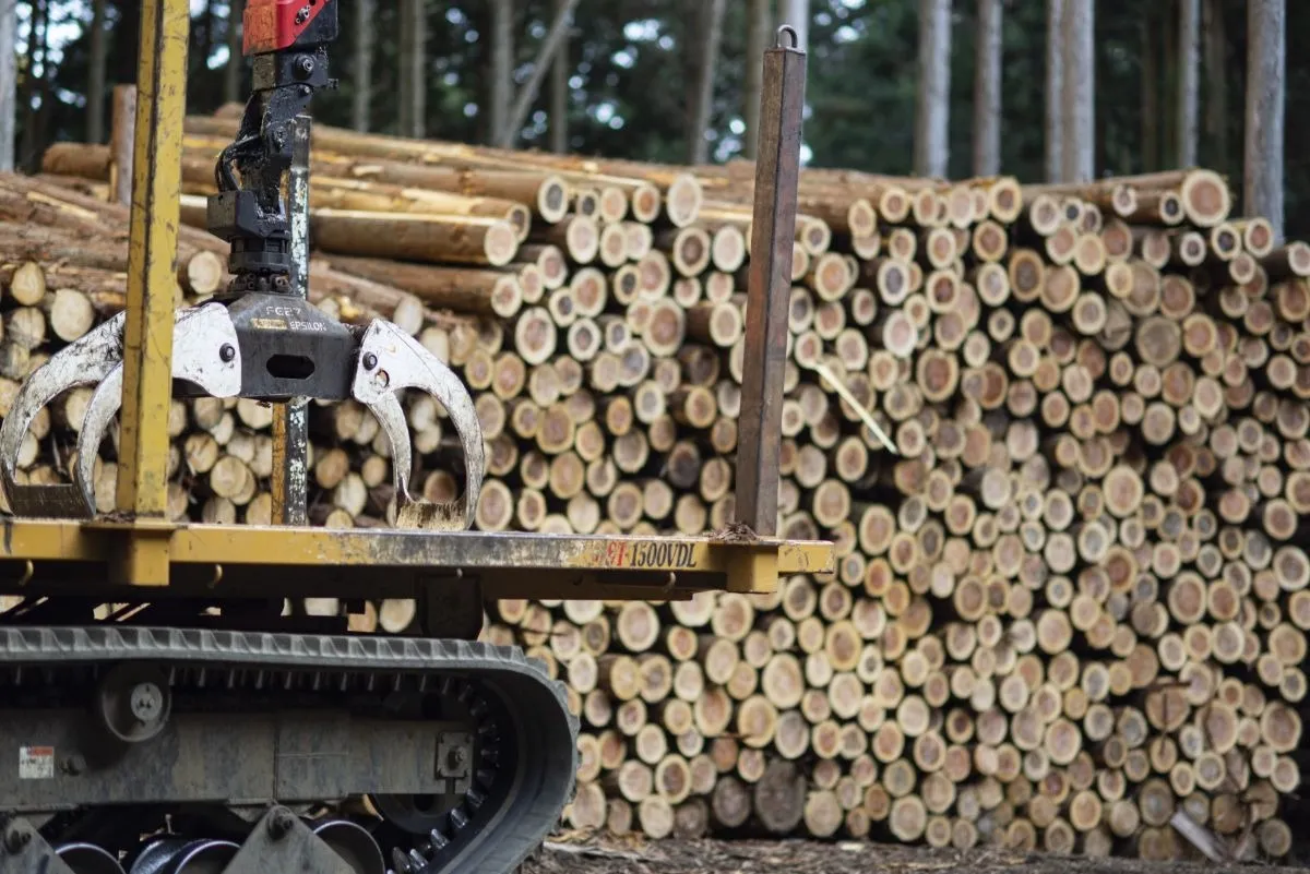 駒沢大学駅周辺における伐採の注意点