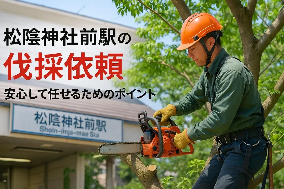 松陰神社前駅で伐採を安心依頼する方法と庭木管理の費用相場・安全対策ガイド