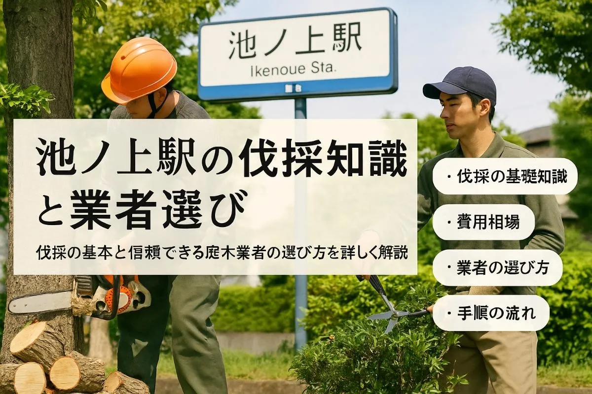 池ノ上駅で伐採の基礎知識と費用相場｜世田谷で安心できる庭木業者選びと手順