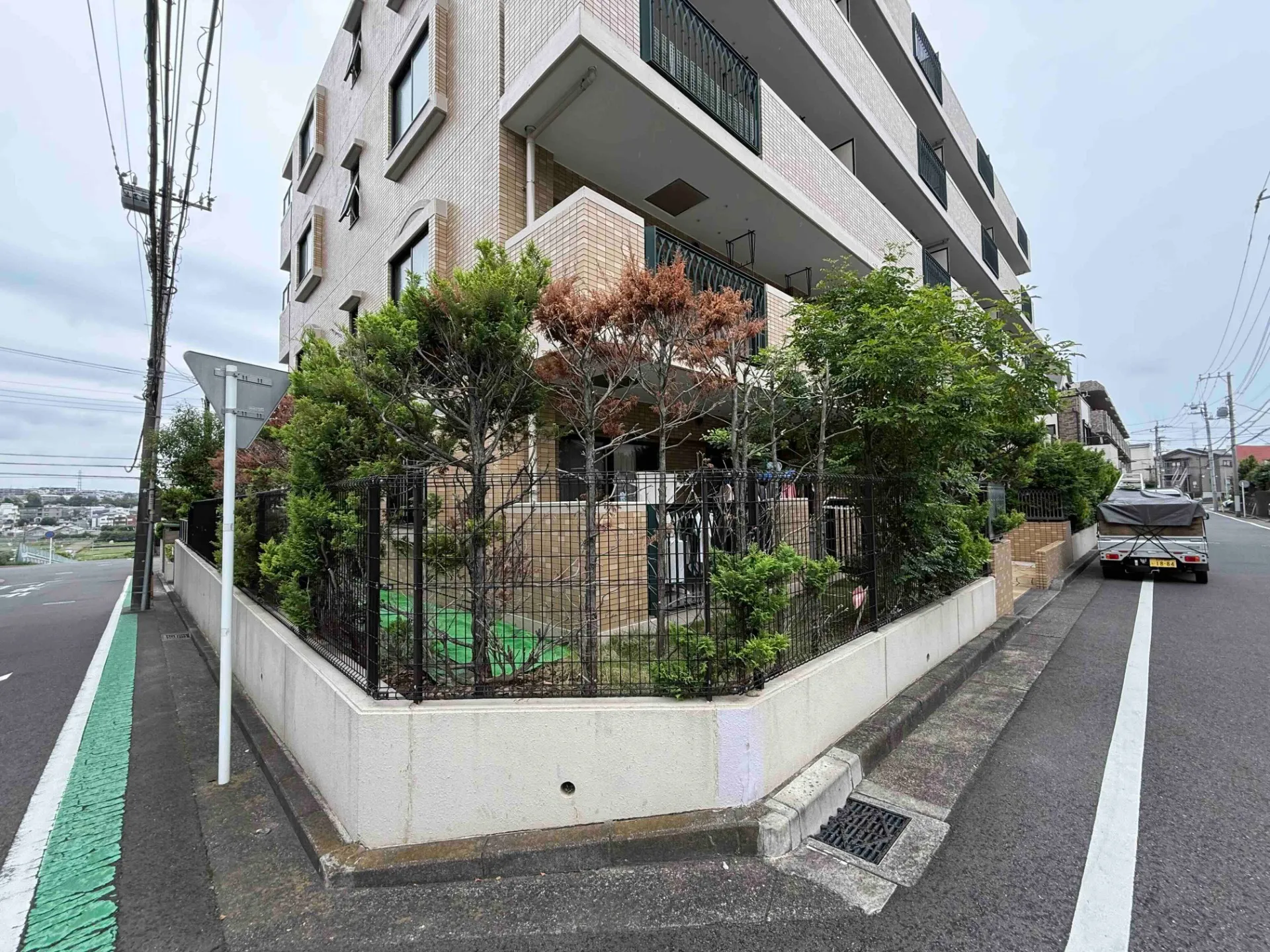 神奈川県横浜市緑区　施工前　マンション既存植栽状況　その１