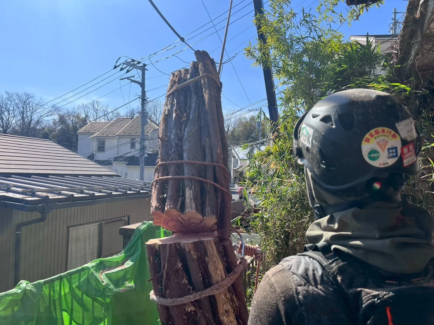 神奈川県川崎市高津区　カイズカイブキ特殊伐採　幹クレーン伐採施工中