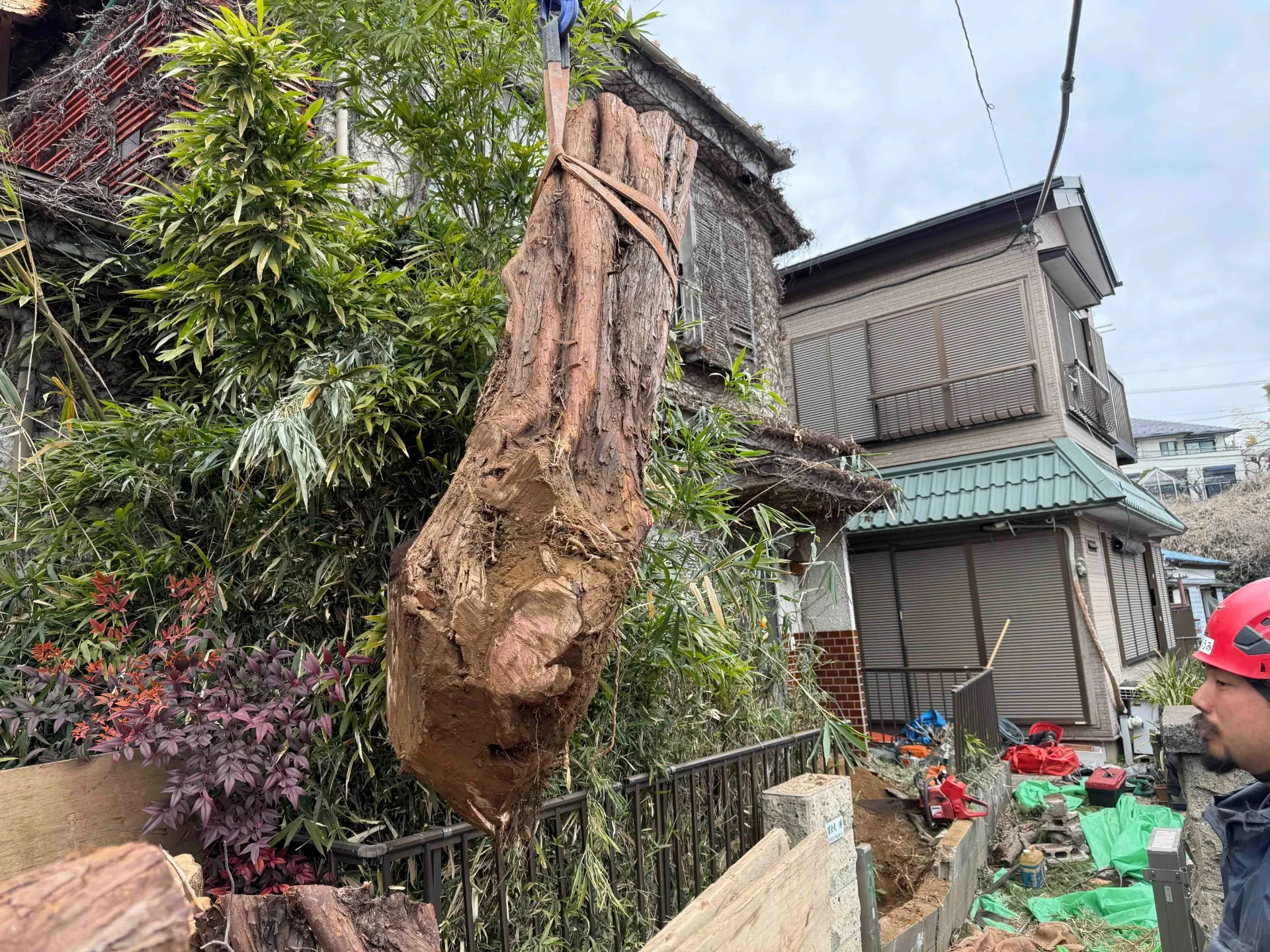 神奈川県川崎市高津区　カイズカイブキ抜根　クレーン運び出し施工中