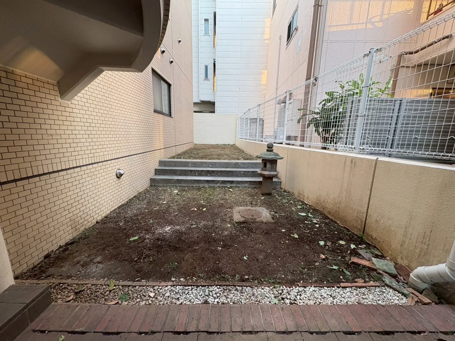 キンモクセイ作業後